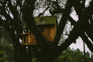 treehouse